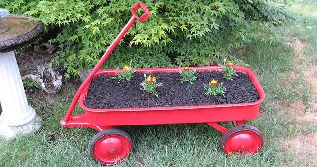 Fun Community Garden And Farm Ideas To Get Kids Engaged
