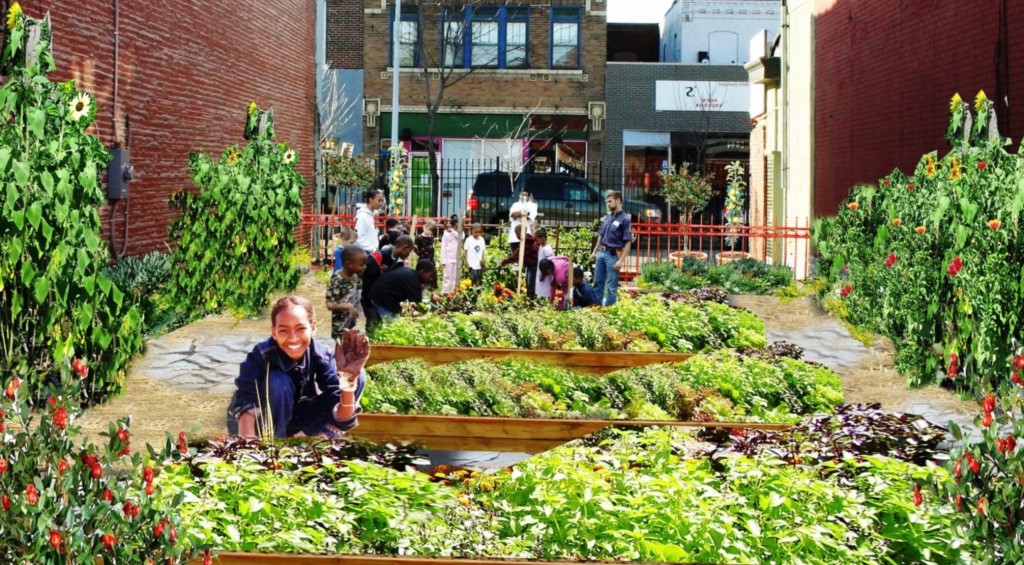 Why Urban and Community Gardens Are Important
